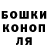 Cannafood конопля Sacha Rocker