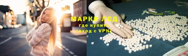 стаф Коряжма