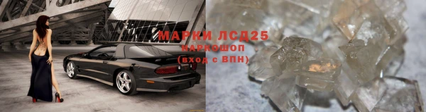 стафф Алексин