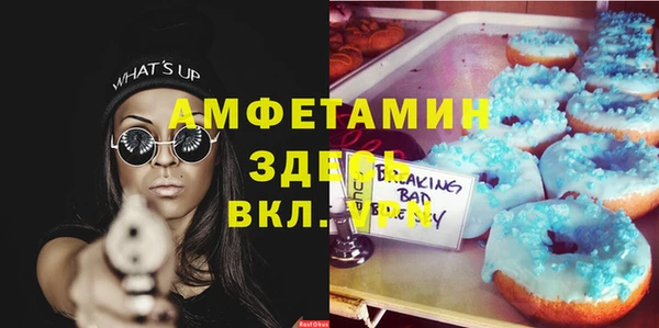 стафф Алексин